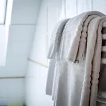 Tylova 公寓 *