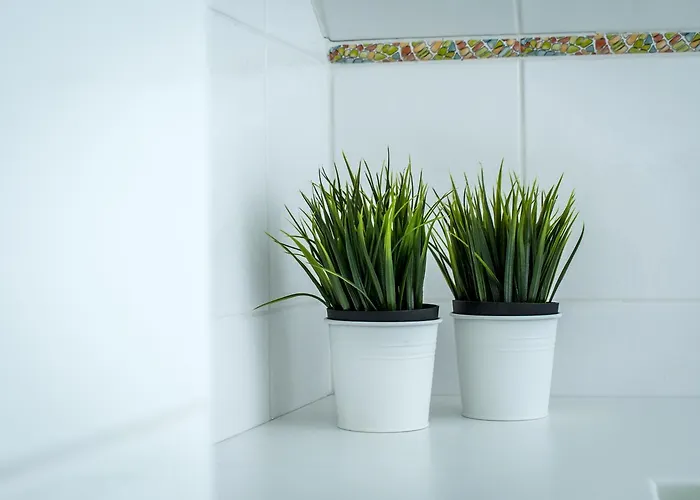 Apartment Tylova Kutna Hora